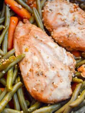 Slow Cooker Honey Garlic Chicken and Veggies