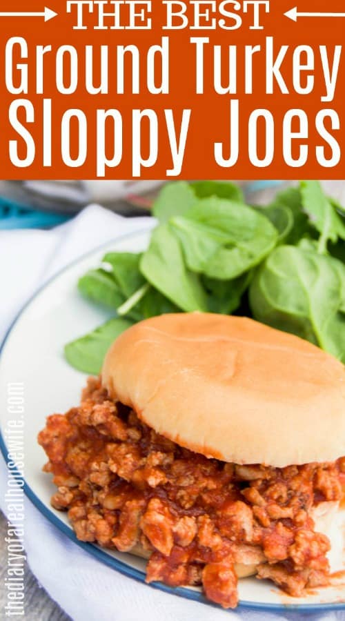 Ground Turkey Sloppy Joes