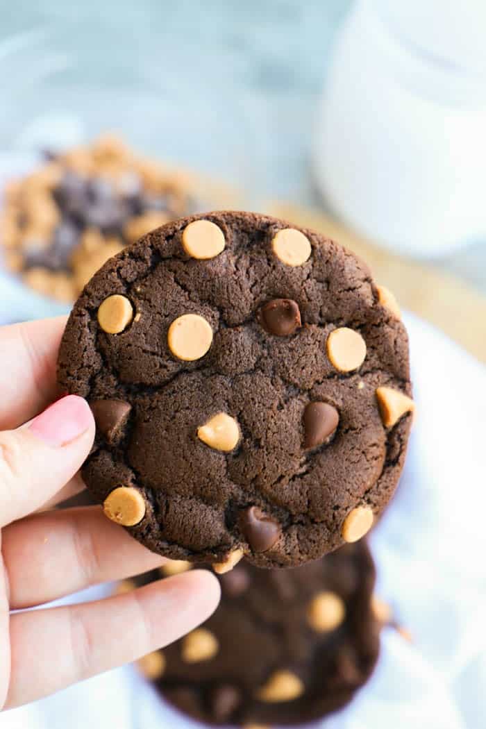 Chocolate Peanut Butter Chip Cookie in hand close up