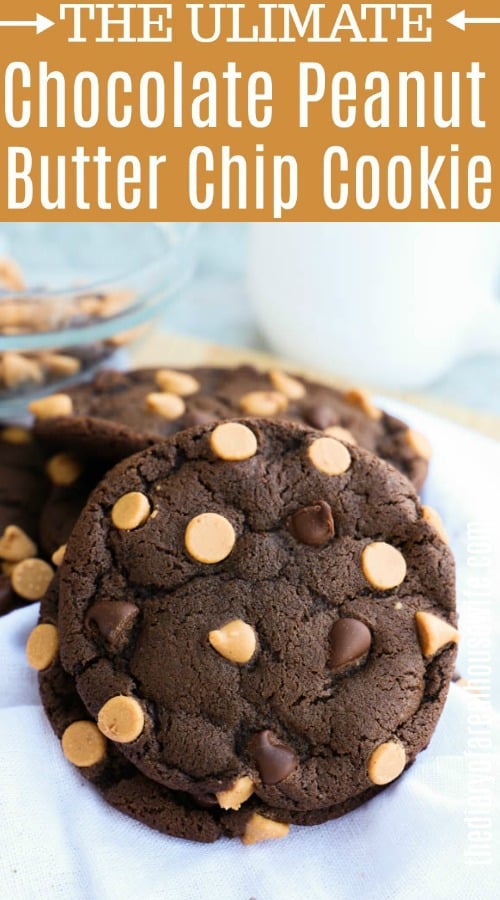 Chocolate Peanut Butter Chip Cookie
