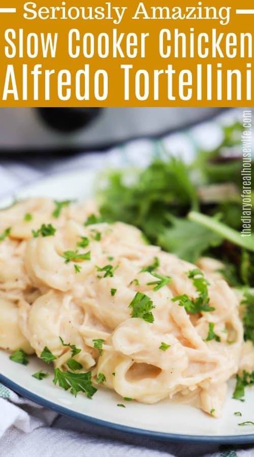 Slow Cooker Chicken Alfredo Tortellini
