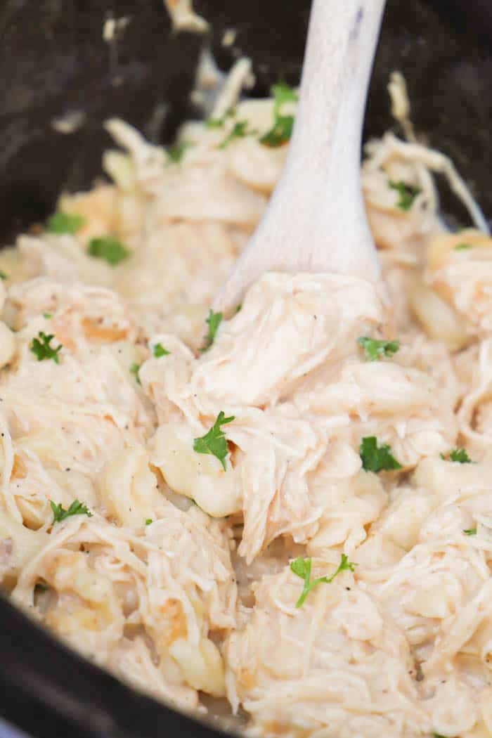 Slow Cooker Chicken Alfredo Tortellini