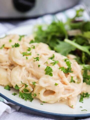 Slow Cooker Chicken Alfredo Tortellini