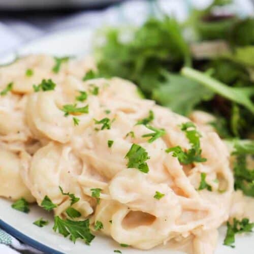 Slow Cooker Chicken Alfredo Tortellini