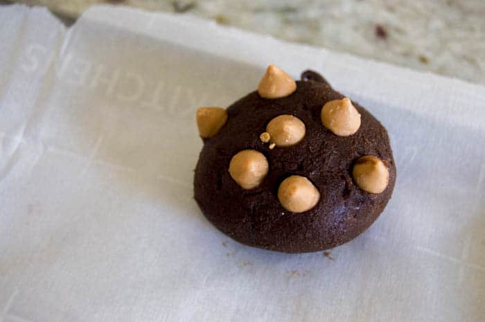 Chocolate Peanut Butter Chip Cookie dough before baking