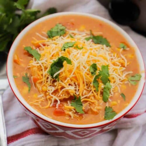 Cheesy Chicken Nacho Soup