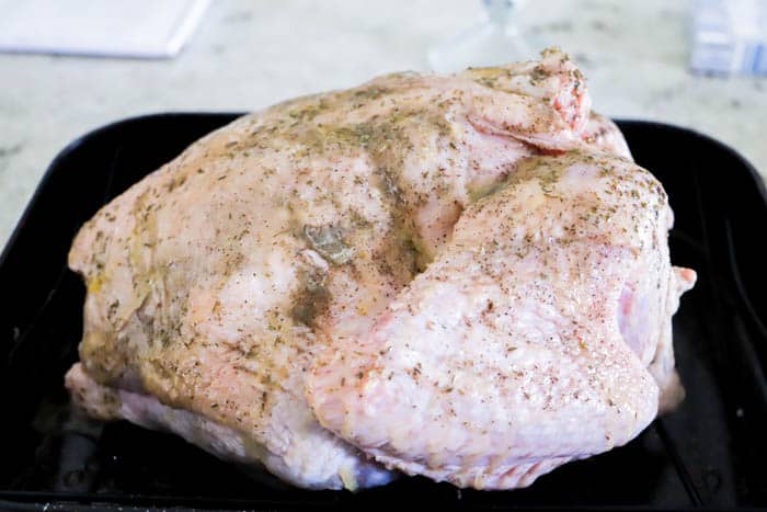 seasoned turkey in roasting pan.