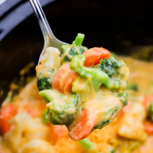 Slow Cooker Cheesy Vegetable Casserole