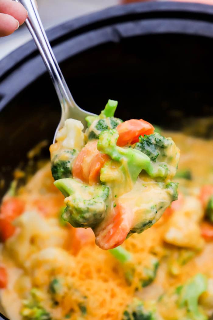 Slow Cooker Cheesy Vegetable Casserole • The Diary of a Real Housewife