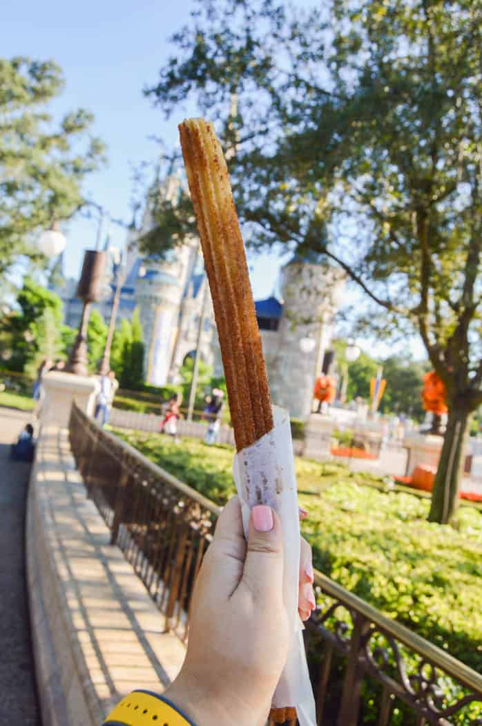 The Best Snacks in Magic Kingdom