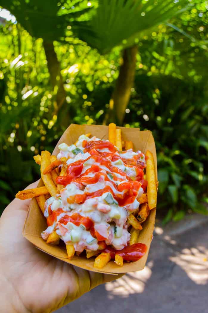 The Best Snacks in Disney - Animal Kingdom