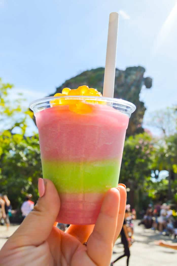 The Best Snacks in Disney - Animal Kingdom