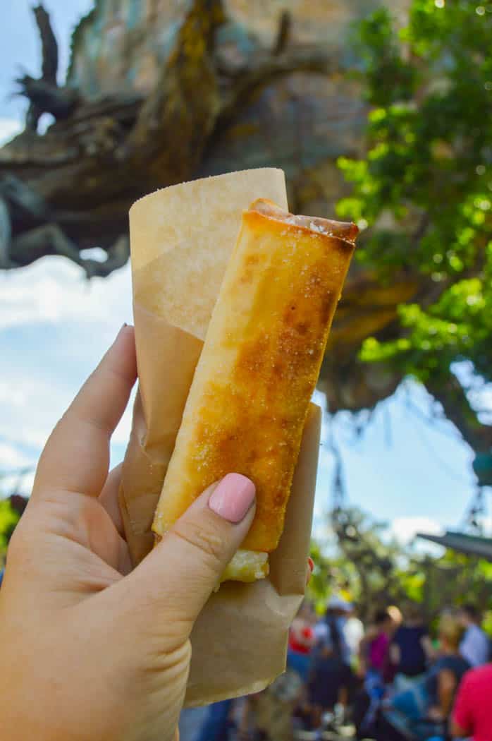 The Best Snacks in Disney - Animal Kingdom