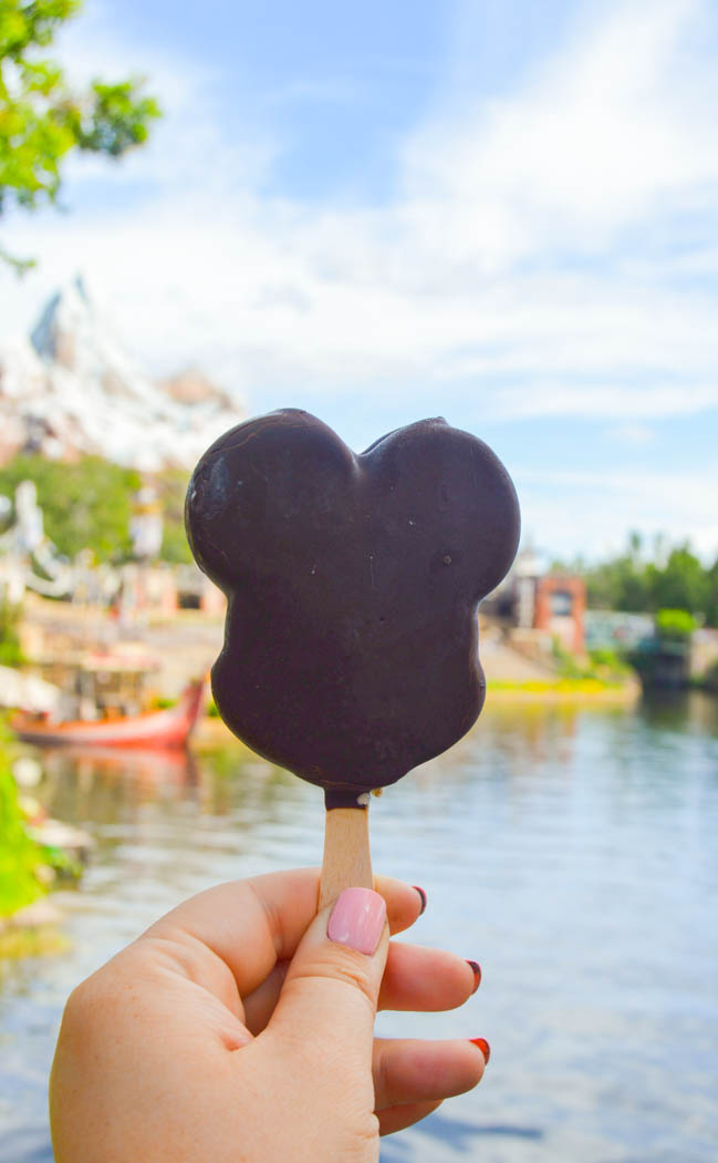 The Best Snacks in Disney - Animal Kingdom