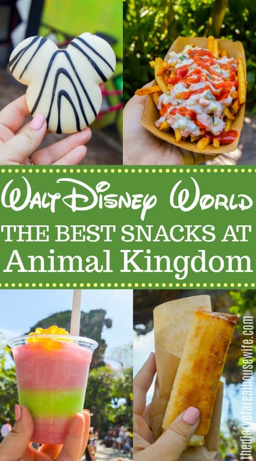 The Best Snacks in Disney Animal Kingdom • The Diary of a Real Housewife