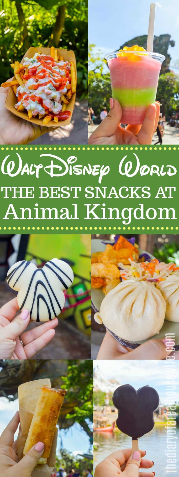 The Best Snacks in Disney - Animal Kingdom