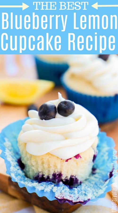 Blueberry Lemon Cupcake