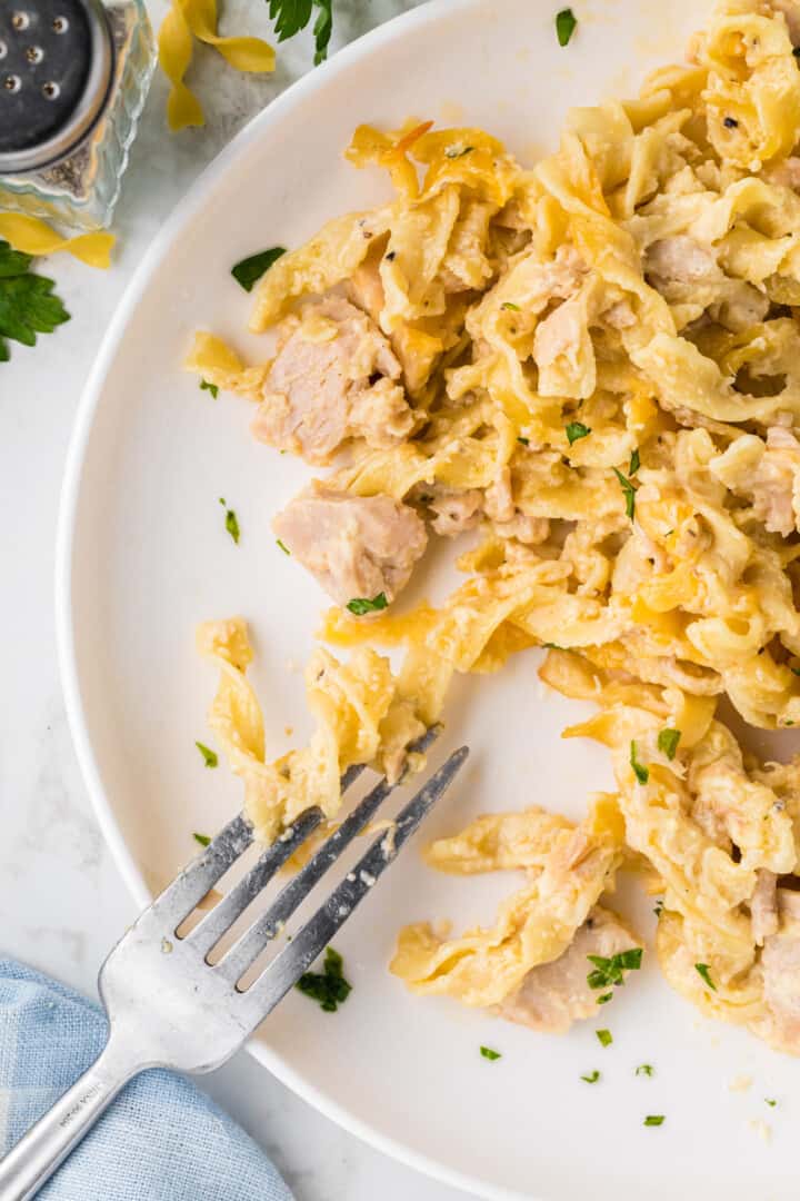 tuna casserole with a fork