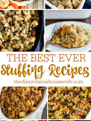 Stuffing Recipes