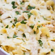 Chicken Alfredo Casserole in a white casserole dish