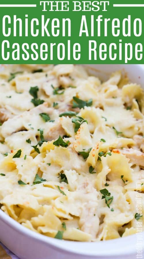 Chicken Alfredo Casserole