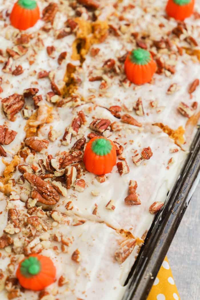 Pumpkin Sheet Cake topped with mini pumpkins