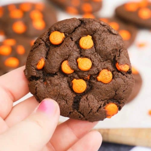 Halloween Cookie in a hand