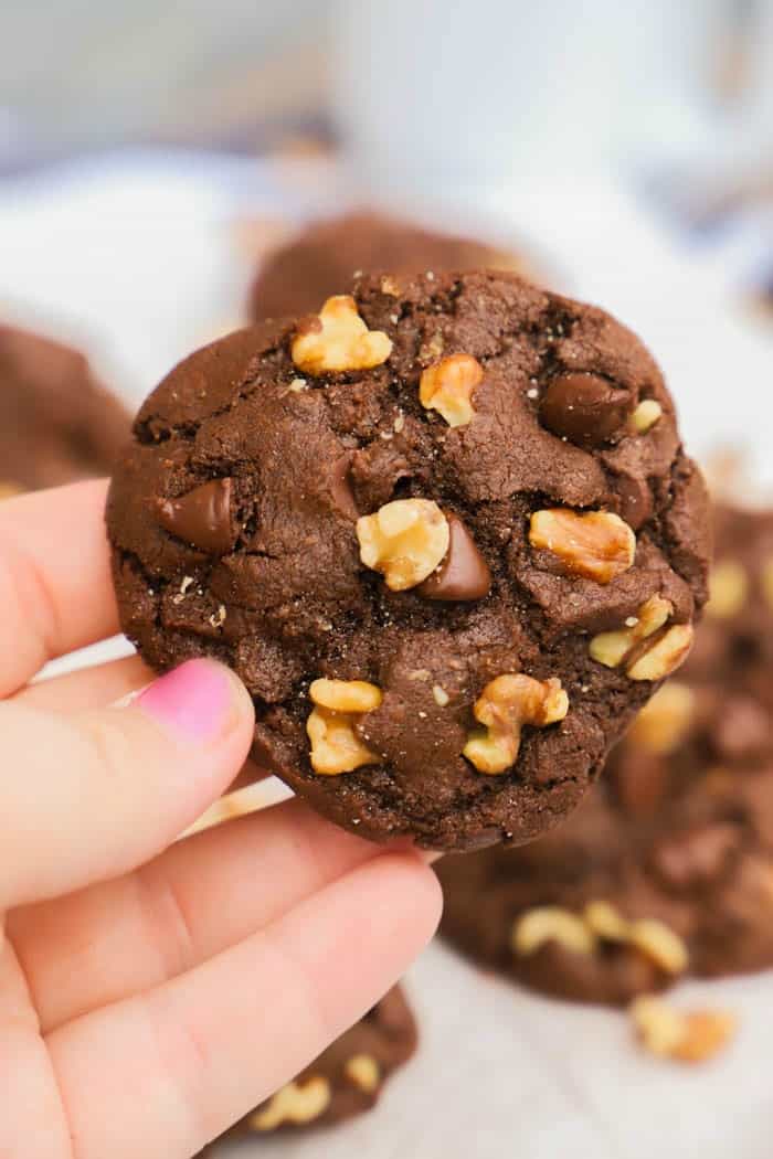 Chocolate Walnut Cookies in a hand
