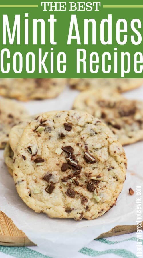 Mint Chocolate Chip Andes Cookie