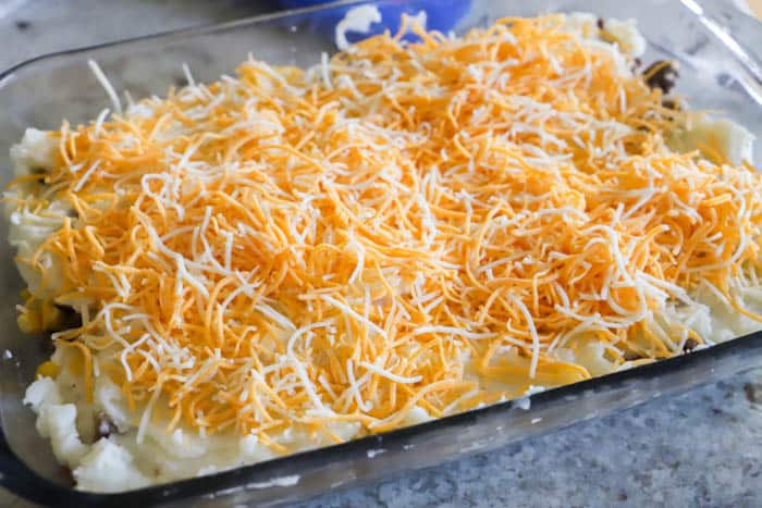 casserole topped with cheese