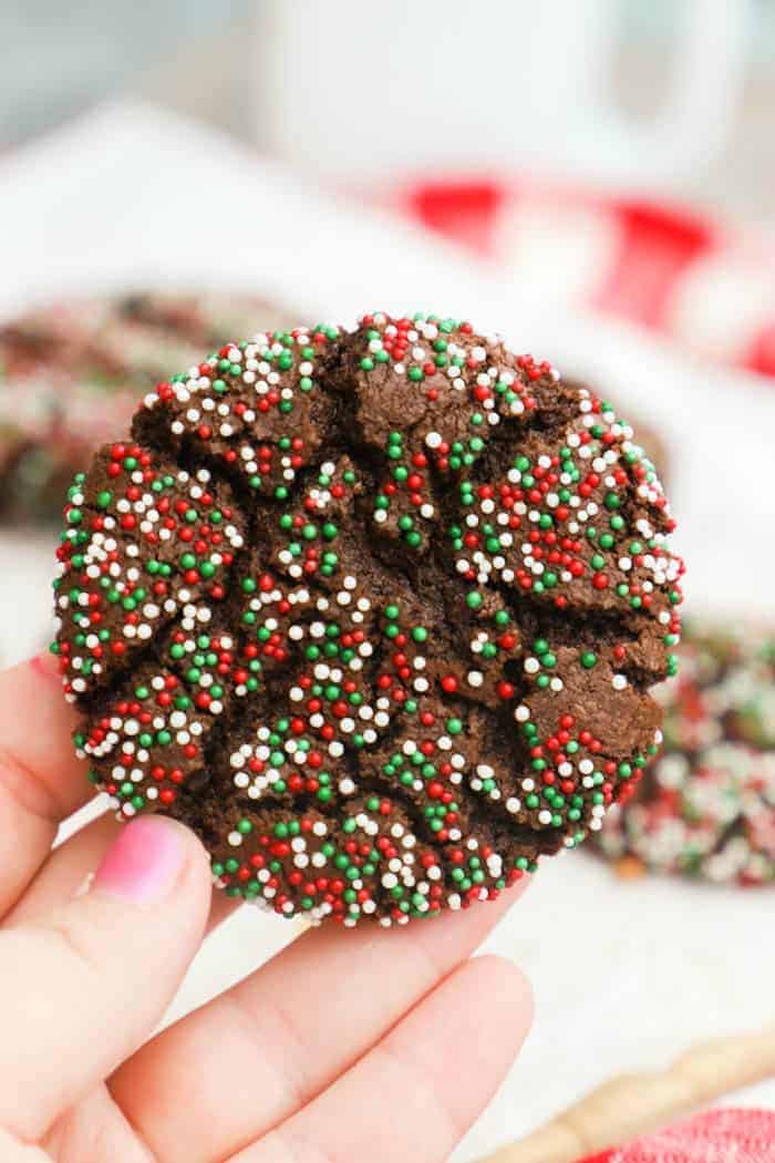 holding a Christmas Cookie 