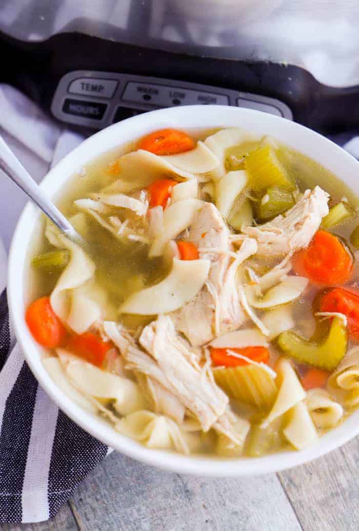 Slow Cooker Chicken Noodle Soup • The Diary of a Real Housewife