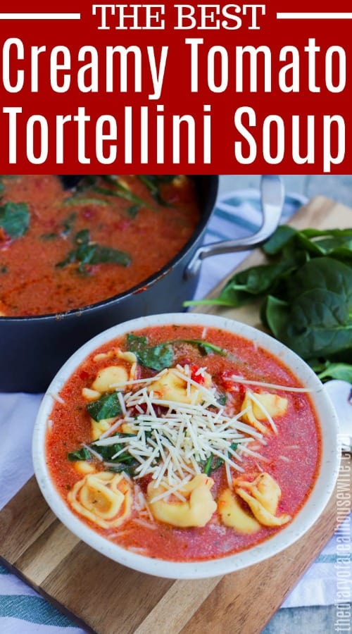 Creamy Tomato Tortellini Soup Recipe