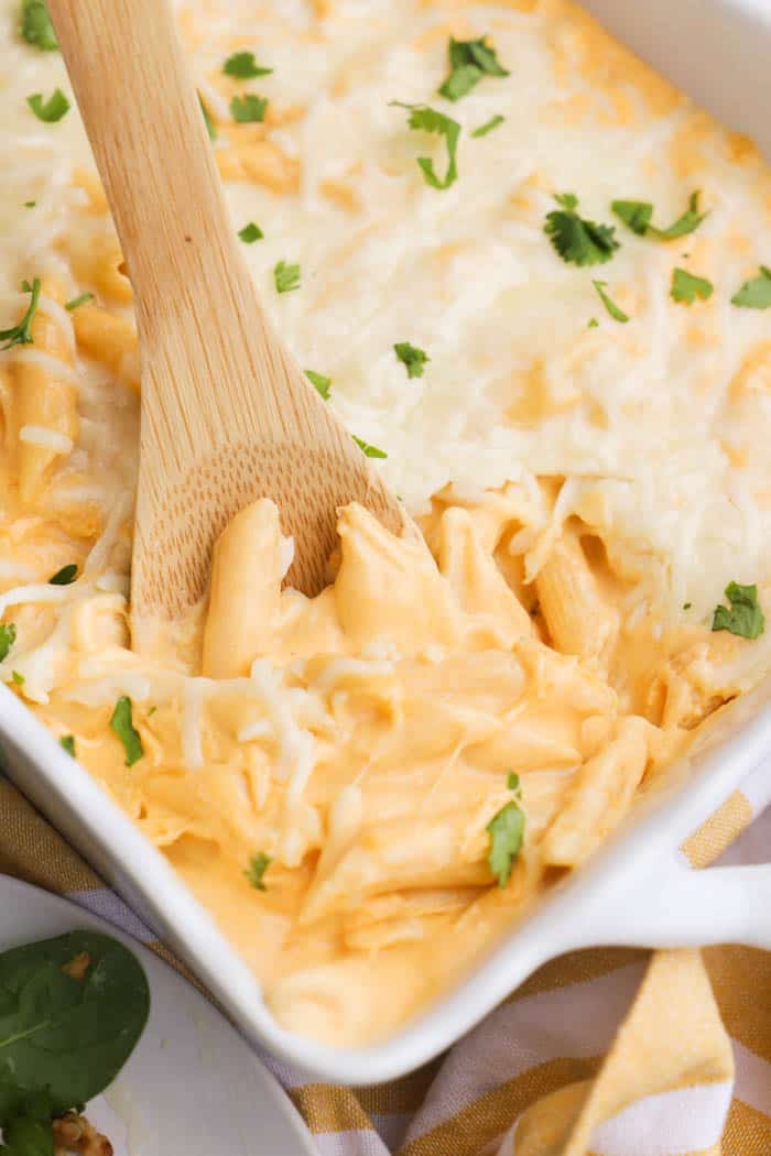 Cheesy Penne Bake in a casserole dish