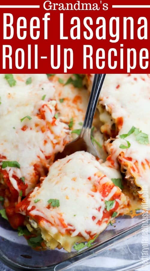 Lasagna Roll Ups