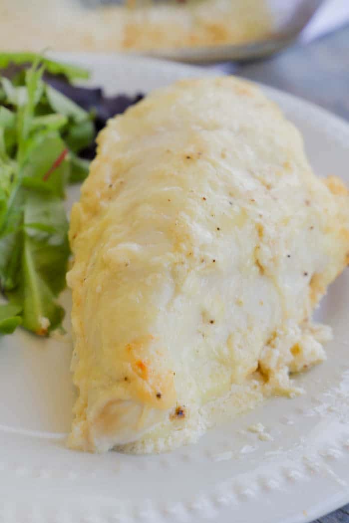 Baked Creamy Swiss Chicken on a white plate