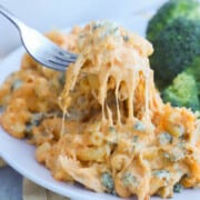 devour buffalo chicken mac and cheese nutrition devour buffalo chicken mac and cheese nutrition