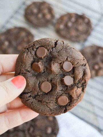 Chocolate Chocolate Chip Cookie