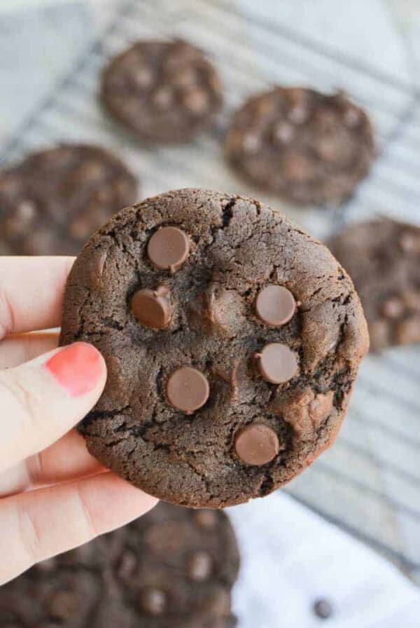 Chocolate Chocolate Chip Cookie