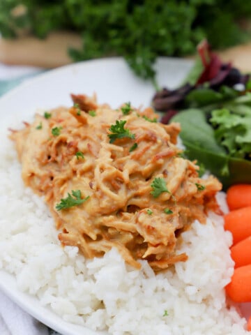 Slow Cooker Honey Mustard Chicken