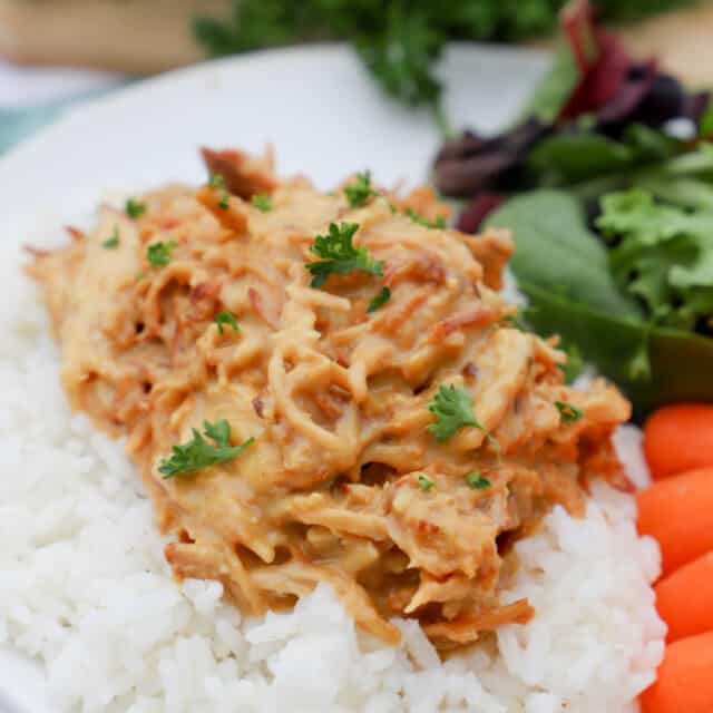 Slow Cooker Honey Mustard Chicken • The Diary of a Real Housewife