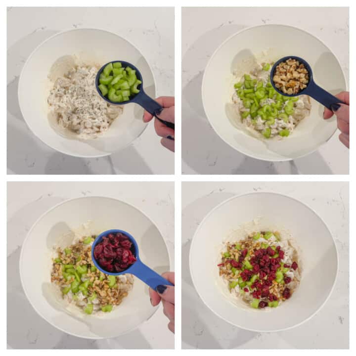 Adding celery, walnuts and cranberries to chicken salad mix