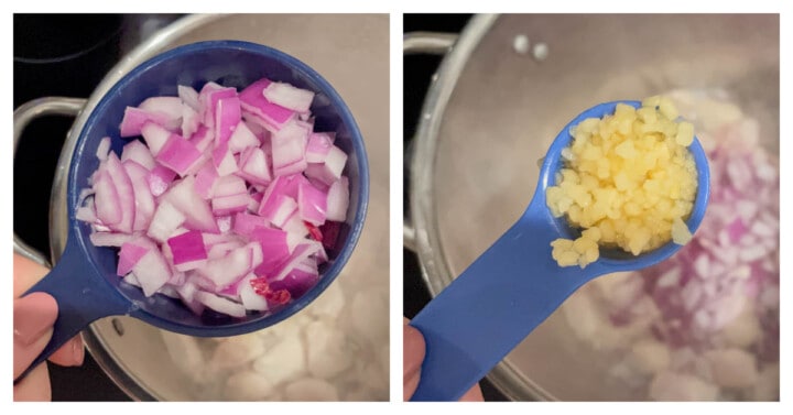 Adding onion and garlic to soup