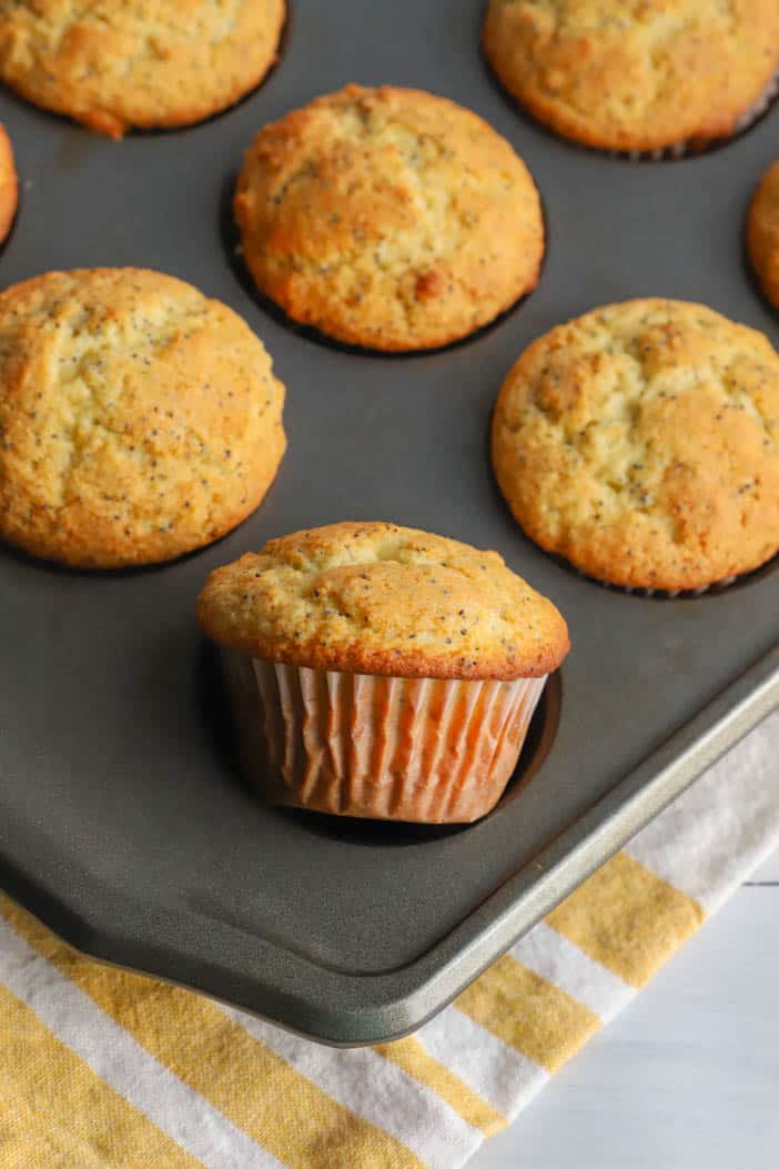 Lemon Poppy Seed Muffins in a muffin tin