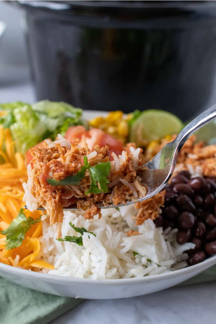 Slow Cooker Shredded Mexican Chicken on a fork