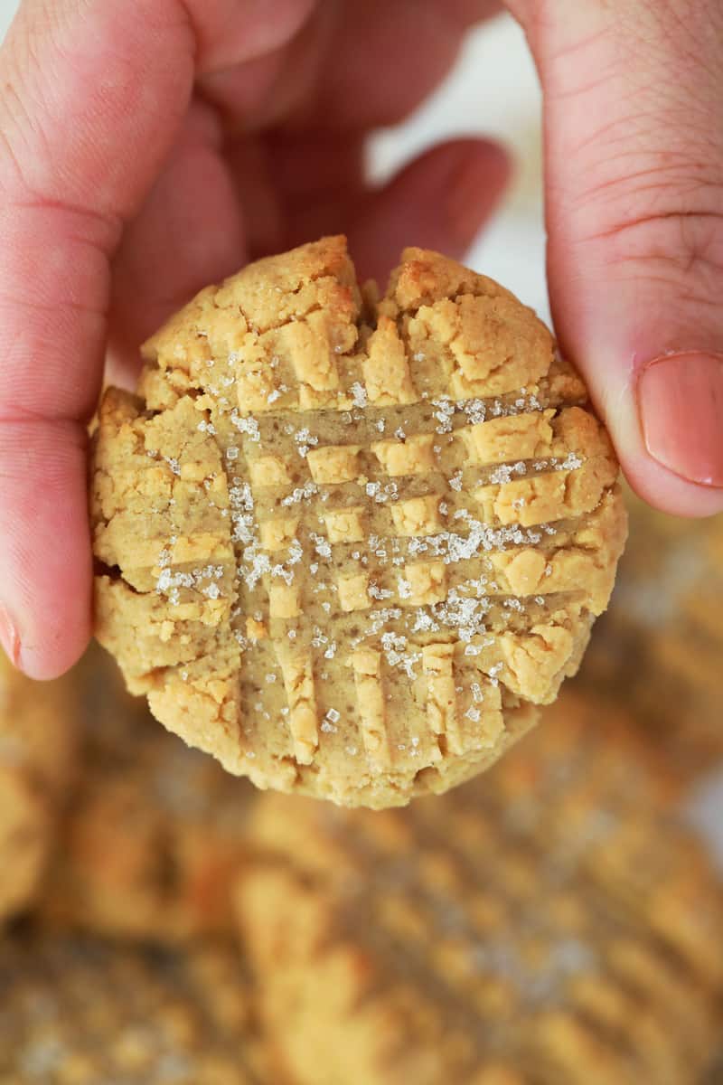 peanut butter cookies in hand close up picture