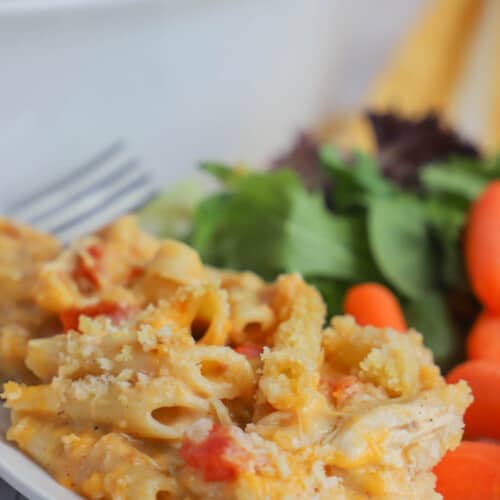 Cheesy Chicken Casserole