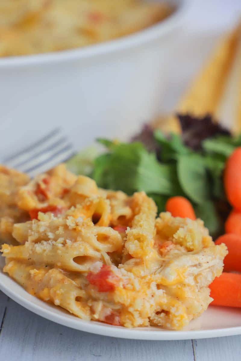 Cheesy Chicken Casserole on a white plate with salad