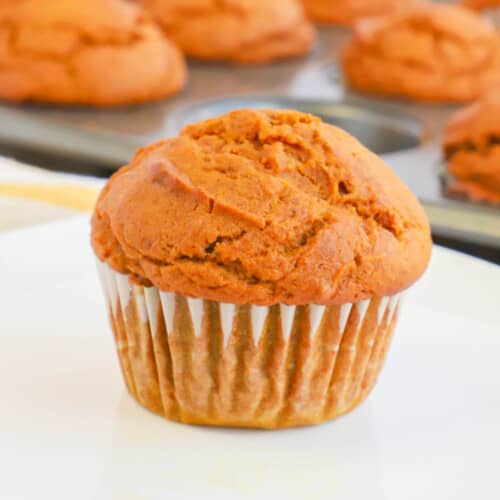 pumpkin muffin