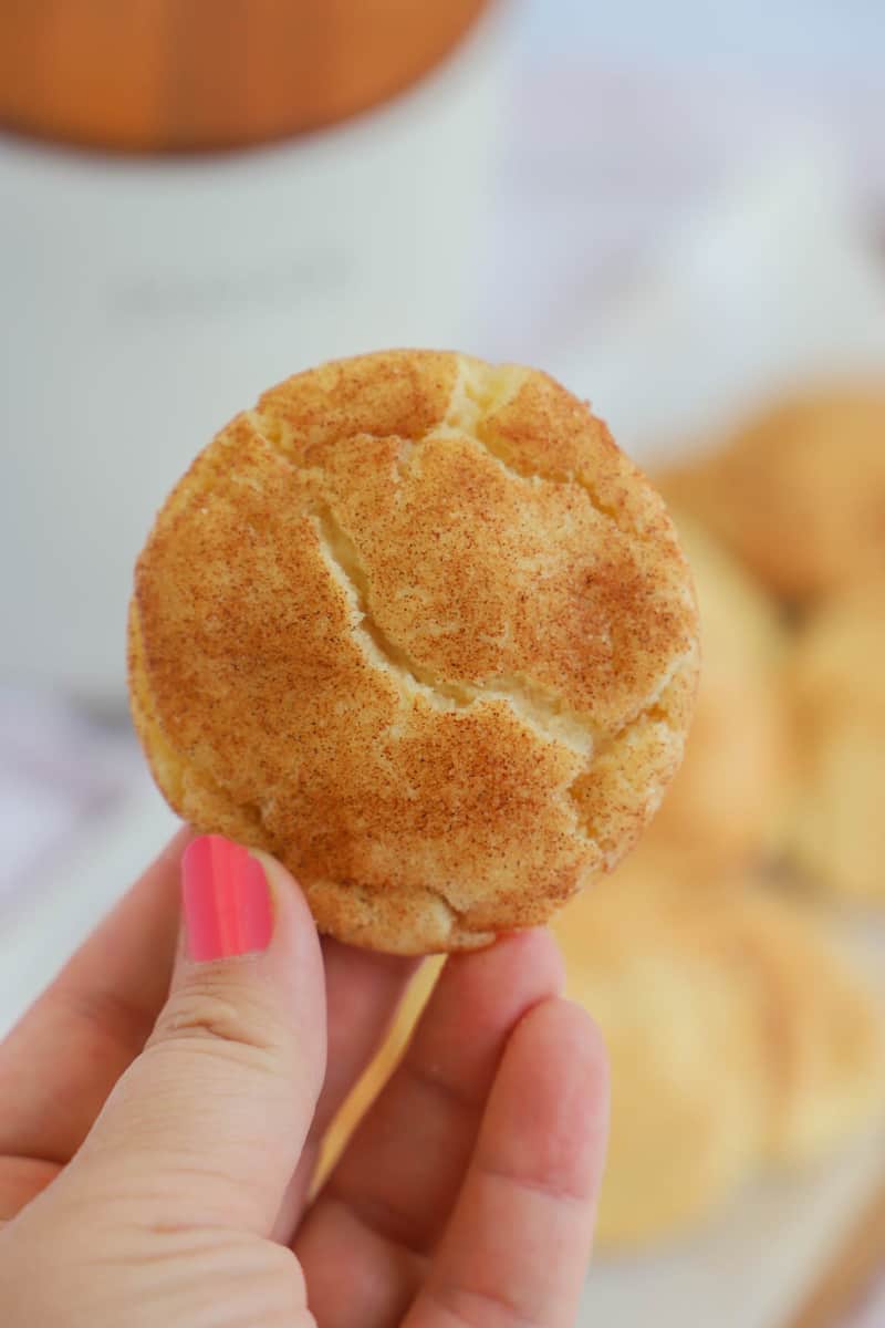 snickerdoodle in hand close up